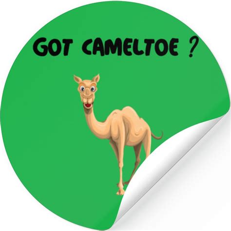 Exciting news for all Camel lovers! .